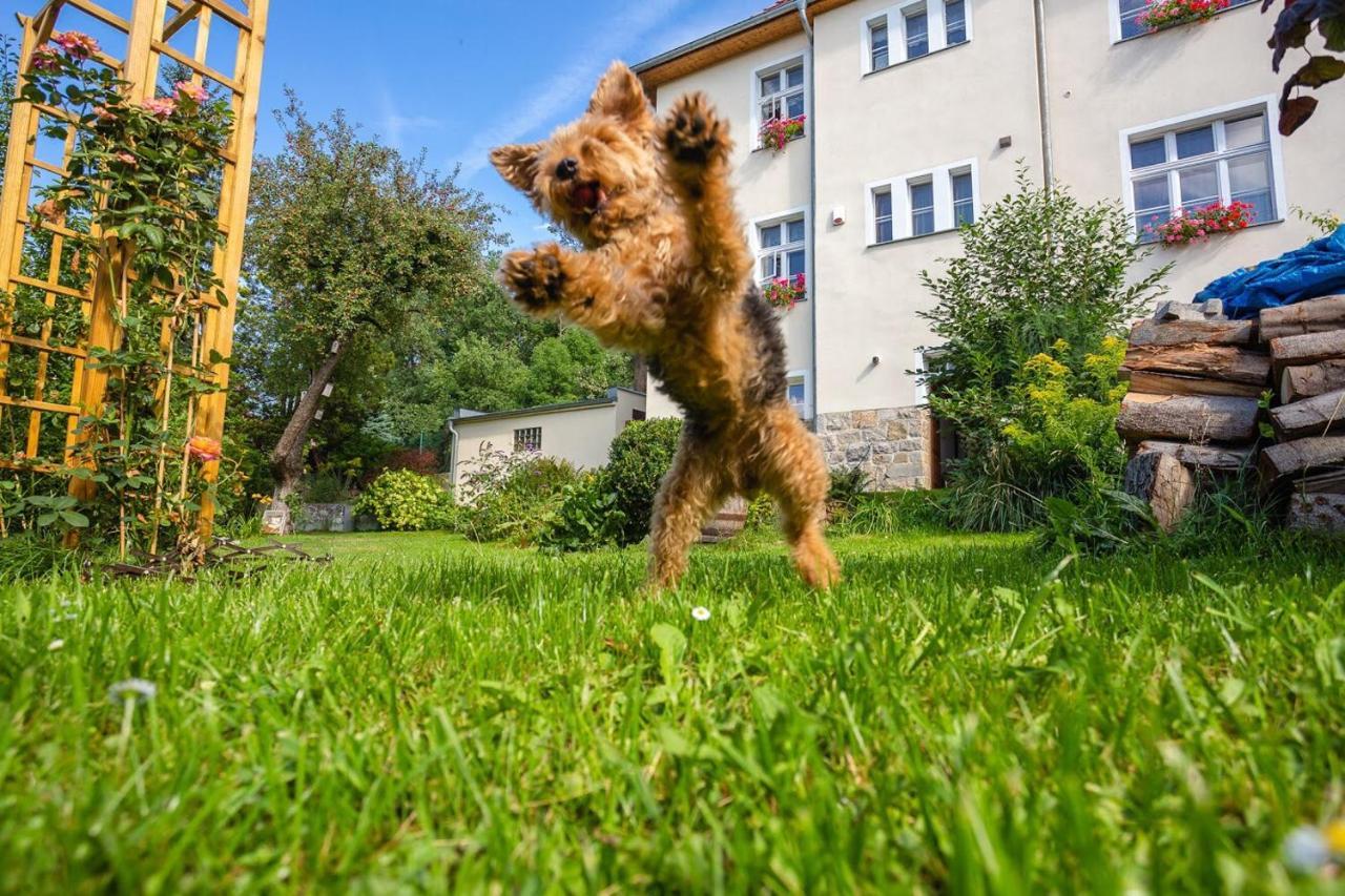 Dom Pod Rybia Skala Apartment Jelenia Gora Luaran gambar
